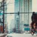 A Lot of Value from Cycling, Will People Migrate? #covideffect - Business Profesional Portal