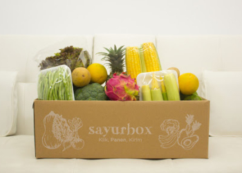 Sayurbox Dedicated To Improving Farmers' Lives With AgriTech - Business Profesional Portal
