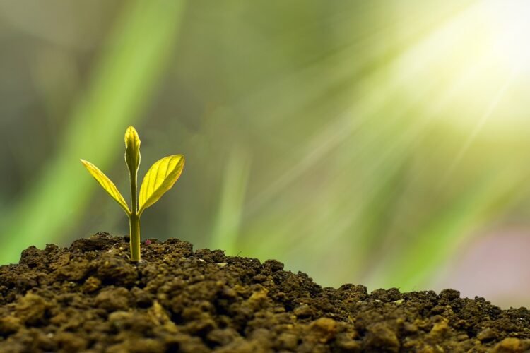 Bold Investment Introduces Earn-Out Model to Support Indonesia's Startup Grow - Business Profesional Portal