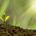 Bold Investment Introduces Earn-Out Model to Support Indonesia's Startup Grow - Business Profesional Portal