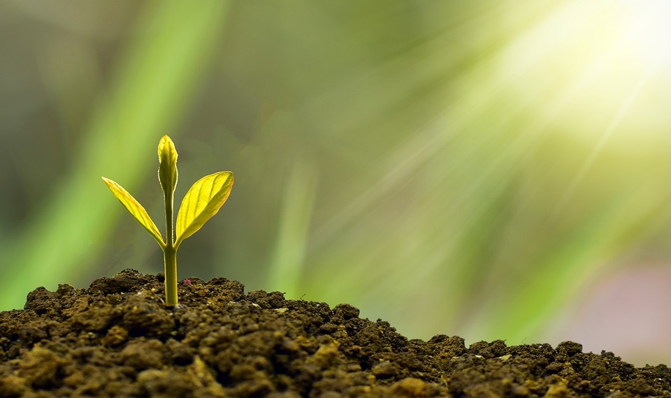 Bold Investment Introduces Earn-Out Model to Support Indonesia's Startup Grow - Business Profesional Portal