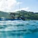 indonesia fishery