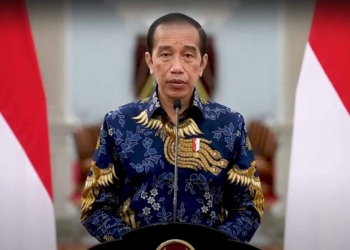 Jokowi on Inacraft