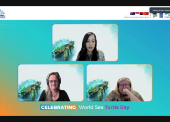 World Sea Turtle Day Celebration