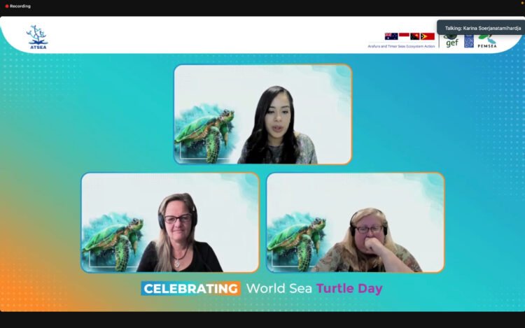 World Sea Turtle Day Celebration