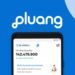 Pluang