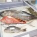 Seafood Show