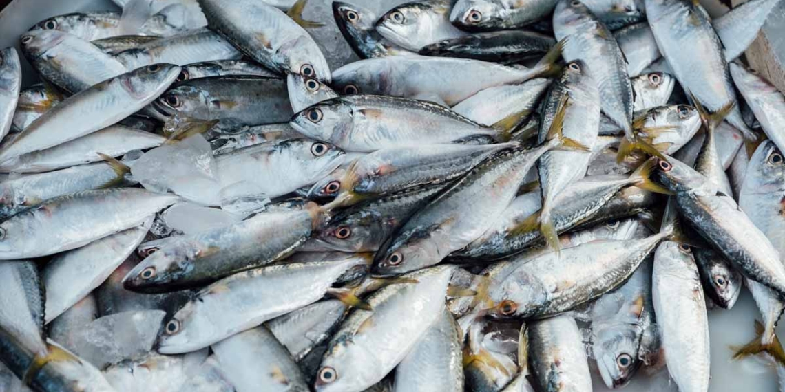 fishery