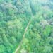 carbon fund
