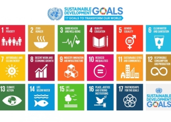 sdgs