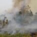 forest and land fires