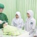 midwives