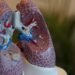 world tuberculosis day