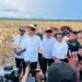President Joko 'Jokowi' Widodo in a press conference after inspecting corn fields in Papua (Image: BPMI Setpres)
