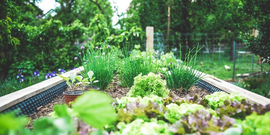 sustainable food garden