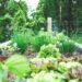 sustainable food garden
