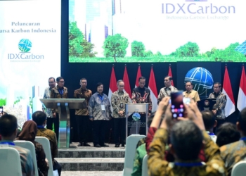 carbon exchange