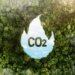 carbon trading