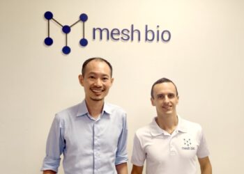 Mesh Bio