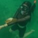snorkeling as on maratua island, berau regency, east kalimantan province as part of IKN tourism business news
