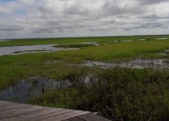 Lake Jempang in Tanjung Aan Village, Jempang District, West Kutai Regency. Image: RRI business news
