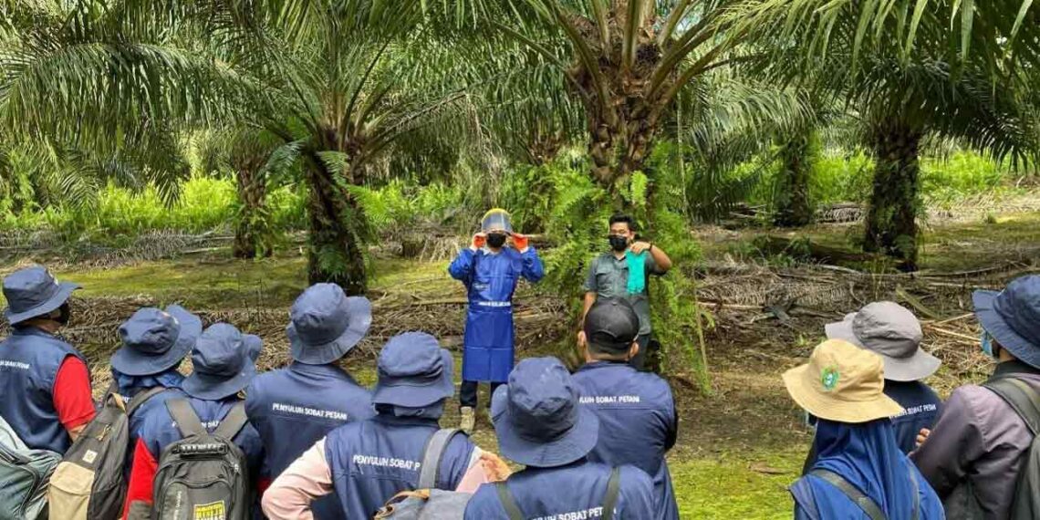 Bunge and Musim Mas Collaborate to Make Palm Value Chain more Sustainable
