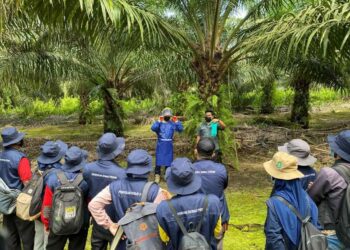 Bunge and Musim Mas Collaborate to Make Palm Value Chain more Sustainable