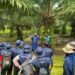 Bunge and Musim Mas Collaborate to Make Palm Value Chain more Sustainable