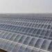 Deputy Ruler of Abu Dhabi Inaugurates World’s Largest Single-Site Solar Power Plant Ahead of COP28