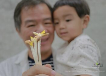Ubiquity Sprouting Corporation announces installing peanut sprout daily 1,000 kg output growing facility.