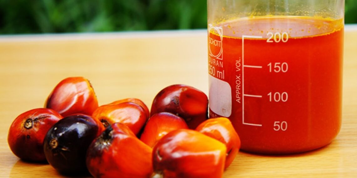 Crude palm oil as a bioenergy raw material. Image: PT Global Interinti Industry