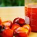 Crude palm oil as a bioenergy raw material. Image: PT Global Interinti Industry