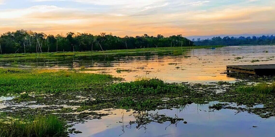 Lake Barong in Melak Ilir Village, Melak District, West Kutai Regency. Image: Saufi Rahman/Google Maps business news