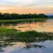 Lake Barong in Melak Ilir Village, Melak District, West Kutai Regency. Image: Saufi Rahman/Google Maps business news