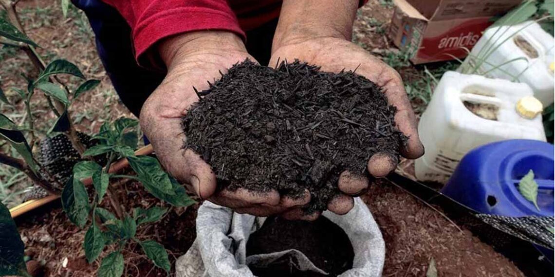 Biochar Projects at COP28