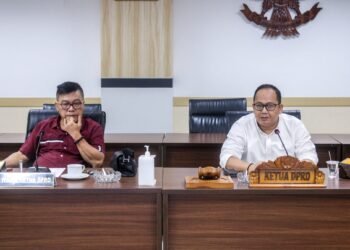 South Tangerang Regional Legislative Council (DPRD Tangsel)