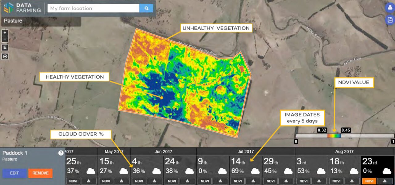 Inagro Cipta Nusantara Harnesses Satellite Information to Enhance Agricultural Output