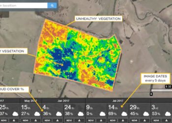 Inagro Cipta Nusantara Harnesses Satellite Information to Enhance Agricultural Output