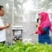 Electrifying Agriculture (EA) Program from PT PLN (Persero)