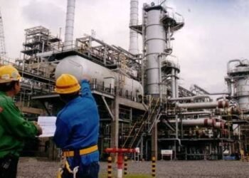 Indonesian Manufacture Sector