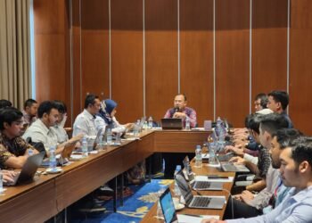 PAN-RB, The Ministry of Health, and Kemendikbudristek held a meeting to accelerate the integration in the development of Public Services Portal (GovTech)