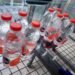 Bottled Water (Photo: Wulan)