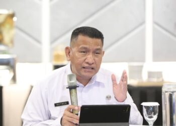 Gutmen Nainggolan, Head of the Legal, Organization, and Personnel Bureau at BNPP (04/19). Credit: Haris