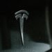Tesla logo. Credit: Austin Ramsey/Unsplash