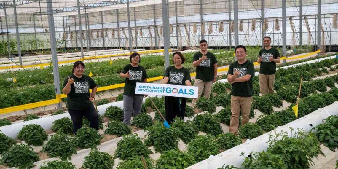 Saving 70% of water - New Irrigation System Revolutionizes Farming in Tropical Regions