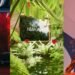 H&M Group asked PLN to supply green energy. Credit: H&M Group