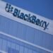 Blackberry