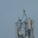 Illustration of telcos as prime target of cyberattacks. Credit: RP M/Unsplash