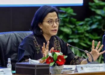 Sri Mulyani, Chair of KSSK. Credit: Finance Ministry