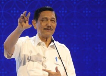 Luhut Binsar Pandjaitan talked about green electricity export to Singapore. Credit: PLN